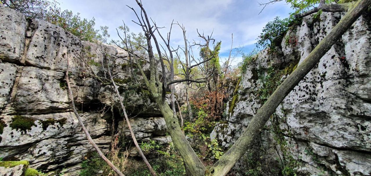 La Grange - Chez Gisi - Fuer Naturliebhaber, Abenteurer Und Geniesser Rocles  ภายนอก รูปภาพ