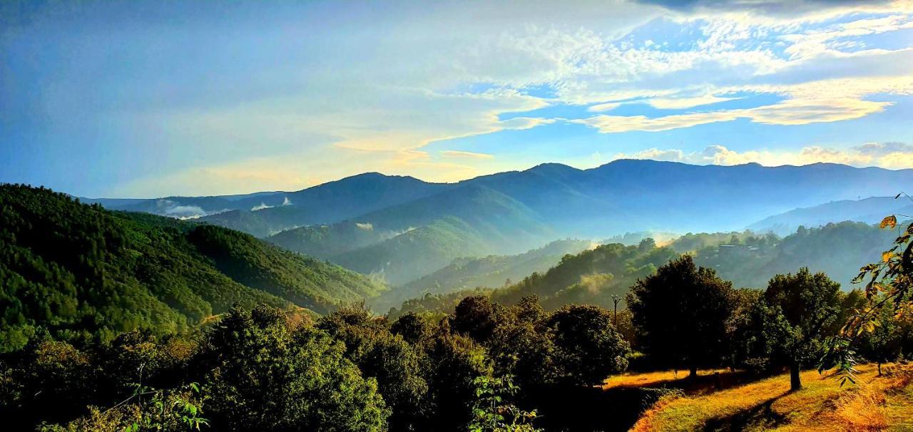 La Grange - Chez Gisi - Fuer Naturliebhaber, Abenteurer Und Geniesser Rocles  ภายนอก รูปภาพ